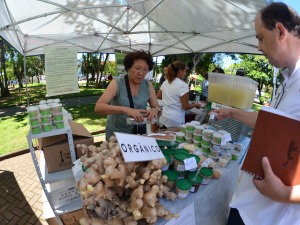 Gengibre de Ubatuba: Produtora local de orgânicos é destaque nacional