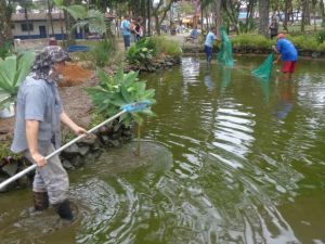 Prefeitura faz serviços de manutenção e limpeza da Praça 13 de maio