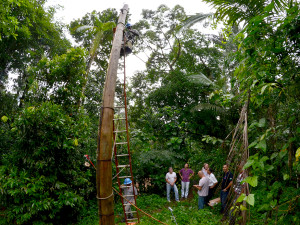 Prefeitura viabiliza instalação de luminárias no Quilombo da Fazenda