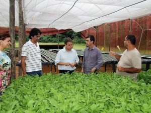 Ubatuba é referência em Agricultura Familiar para cidades da região