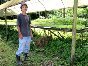 Agricultores familiares são orgulho de Ubatuba