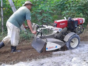 Agricultores familiares são orgulho de Ubatuba