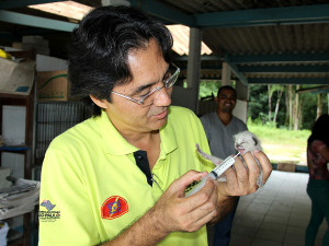 Prefeitura lança Portal para Adoção de Animais em Ubatuba