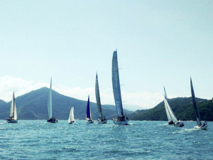 23ª edição da Regata da Amizade bate recorde de inscritos em Ubatuba