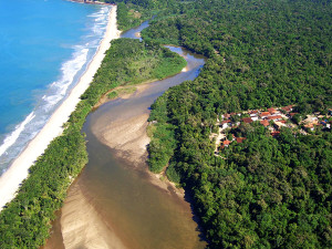 Prefeitura e sociedade se posicionam contra privatização do Parque Estadual da Serra do Mar