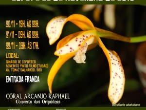 Exposição de Orquídeas de Ubatuba acontece no próximo feriado
