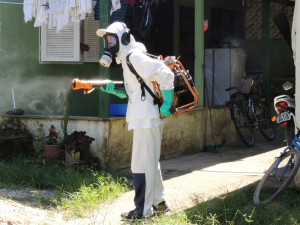 Fumacê cria mosquito da dengue mais resistente; controlar criadouros é a melhor saída
