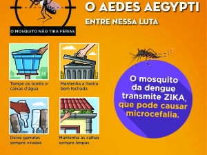 Mutirão contra o mosquito Aedes aegypti chega ao Taquaral, Sumidouro e Usina Velha neste sábado, 20