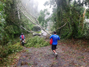 Defesa Civil atende ocorrências, mas não há feridos ou desabrigados em Ubatuba