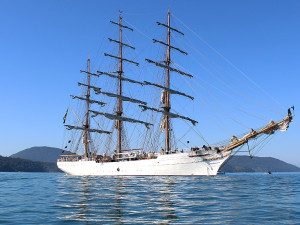 Cisne Branco visita Ubatuba