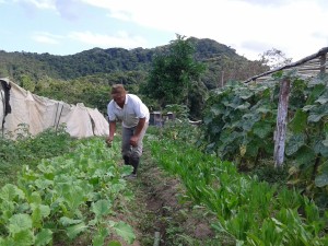 Prefeitura de Ubatuba é primeira colocada em concurso de combate à fome e à desnutrição