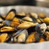 seafood-670948__340