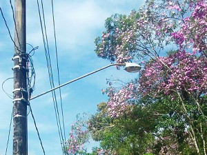 Comunidade do Morro do Tatu adquire luminárias