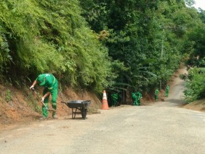 Secretaria de Serviços de Infraestrutura Pública retoma atividades de manutenção em toda a cidade