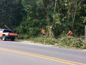 Defesa Civil de Ubatuba continua reparos aos estragos causados pelo vendaval no fim de semana