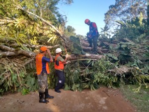 Defesa Civil realiza operação durante fortes ventos em Ubatuba