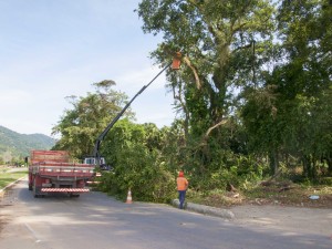 Defesa Civil de Ubatuba revitaliza trevo da rodovia Osvaldo Cruz e orla do Itaguá