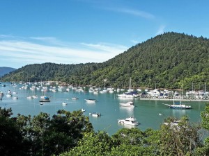 Vigilância Ambiental convida para palestra sobre combate a Aedes aegypti em marinas