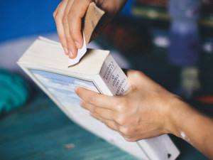 Biblioteca de Ubatuba realiza manutenção do acervo