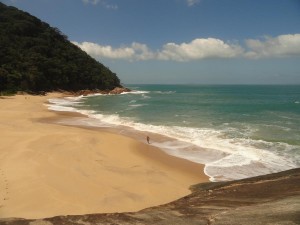 10ª edição do Skim Festival Brasil acontece na praia da Sununga