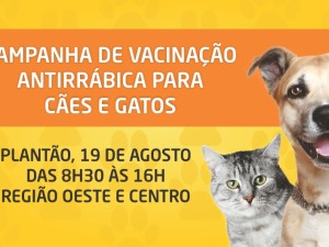 Campanha de vacinação contra a raiva em cães e gatos continua