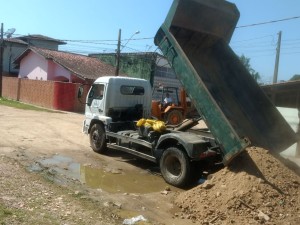 Estufa II recebe mutirão de limpeza