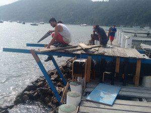 Reforma de píer em Ubatuba integra preparativos para receber Cruzeiros