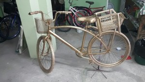Bicicletas (2)