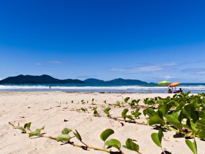 Ubatuba terá Taxa de Preservação Ambiental para turistas