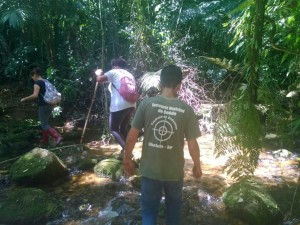 Confirmada morte de macaco por febre amarela em Ubatuba