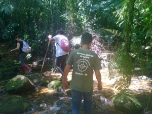 Confirmada morte de macaco por febre amarela em Ubatuba