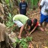 Plantio-EM-Ibere_pimentel-Picinguaba21mar2018 (1)