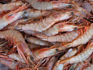 Mercado de Peixe volta a ofertar camarão após fim do período de defeso