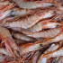 prawns on market counter