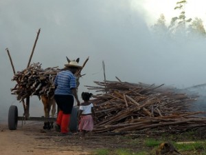 Combate ao trabalho infantil é tema de campanha em Ubatuba