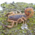 escorpiao-Tityus serrulatus-instit-butantan
