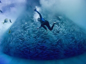 Verão no Clima: Mostra Ecofalante exibe filme “Triste Oceano”