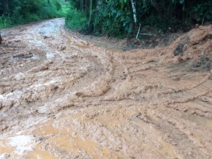 Acumulados de chuva em Ubatuba ultrapassam os 100 mm