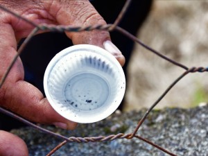 Ubatuba entra em situação de epidemia da dengue