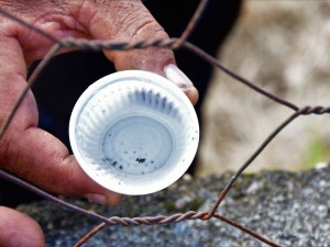 Ubatuba entra em situação de epidemia da dengue