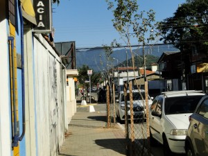 Corredor comercial do Centro de Ubatuba recebe arborização