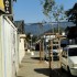 0725-arborizacao-thomaz (1)
