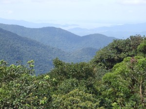 Pq estadual da serra do mar