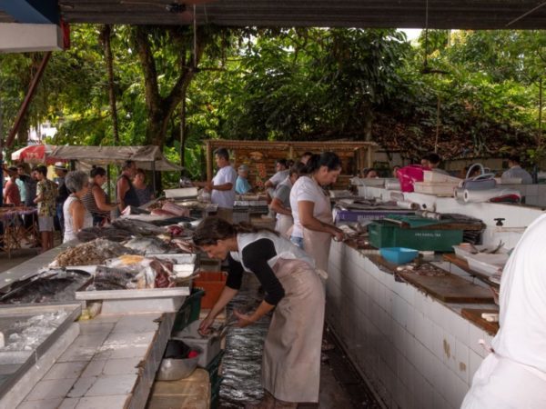 Prefeitura inicia cadastro e recadastro para comercialização no Mercado de Peixes