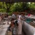 0109-Mercado-Peixe_ubatuba-creditoRafaelPascuet (1)