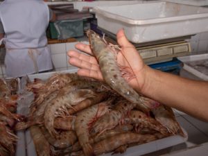 Prazos para licenças da Feira Livre e Mercado de Peixe sofrem alteração