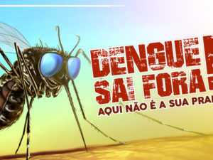 Ubatuba prepara ações de combate à dengue