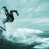 surfe