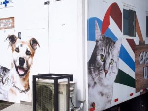 Vigilância em Saúde realiza inscrições para castração gratuita de cães ou gatos