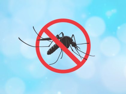 Bairros da região Norte recebem mutirões contra a dengue